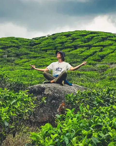 Cameron Highlands, Malaysia