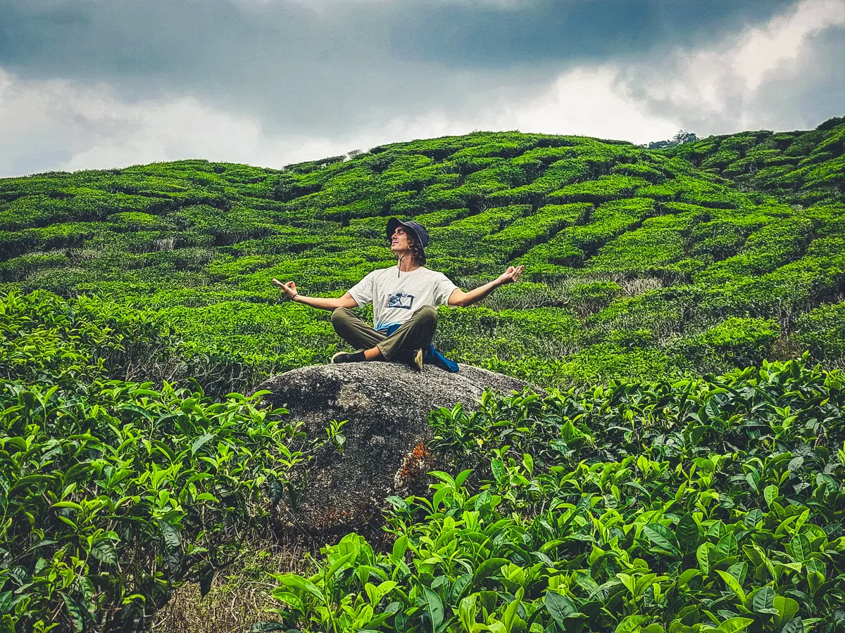 Malaysia — Cameron Highlands